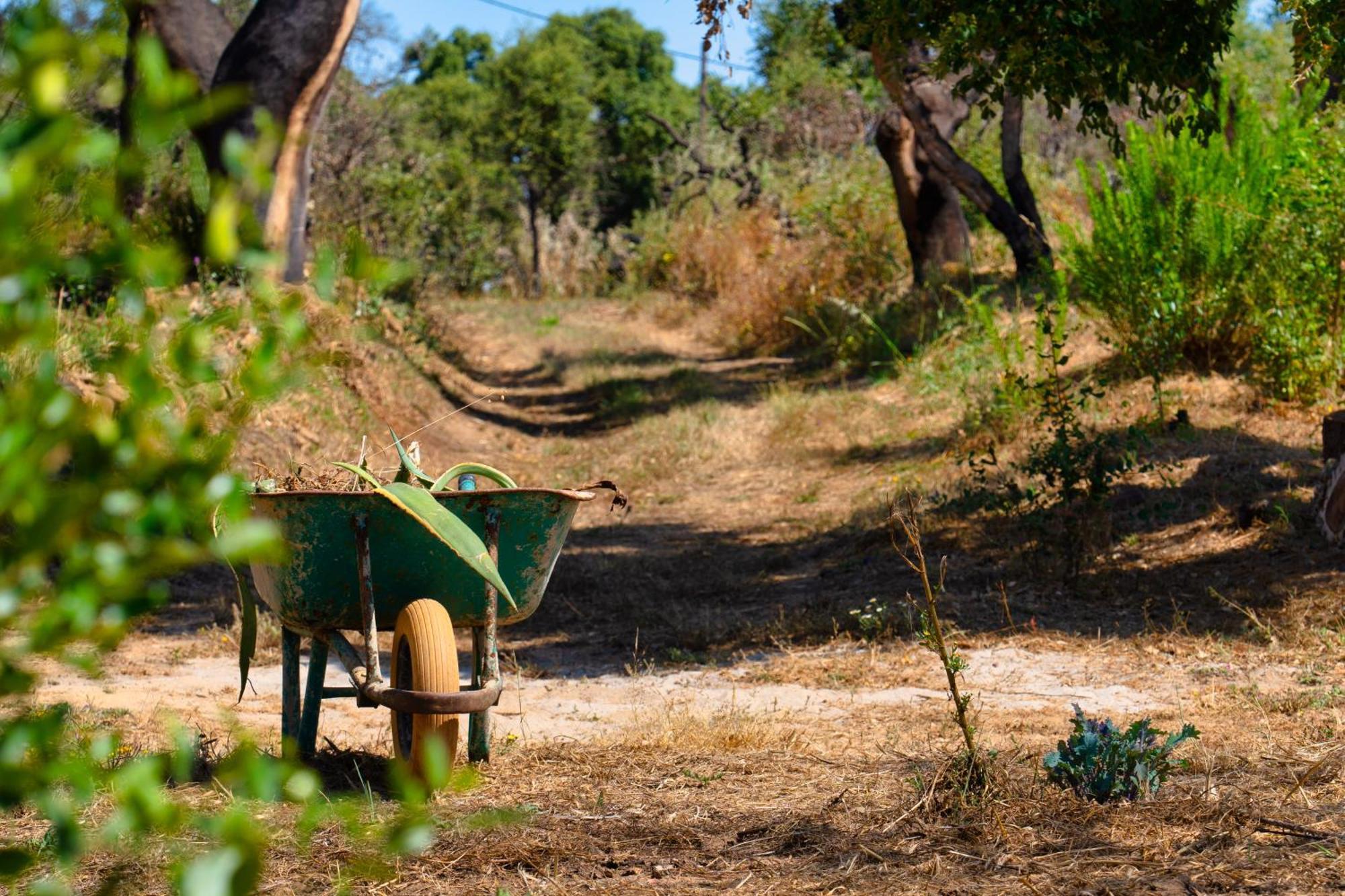 Choeiro Verde - Casa De Campo Na Costa Vicentina Brejao Luaran gambar