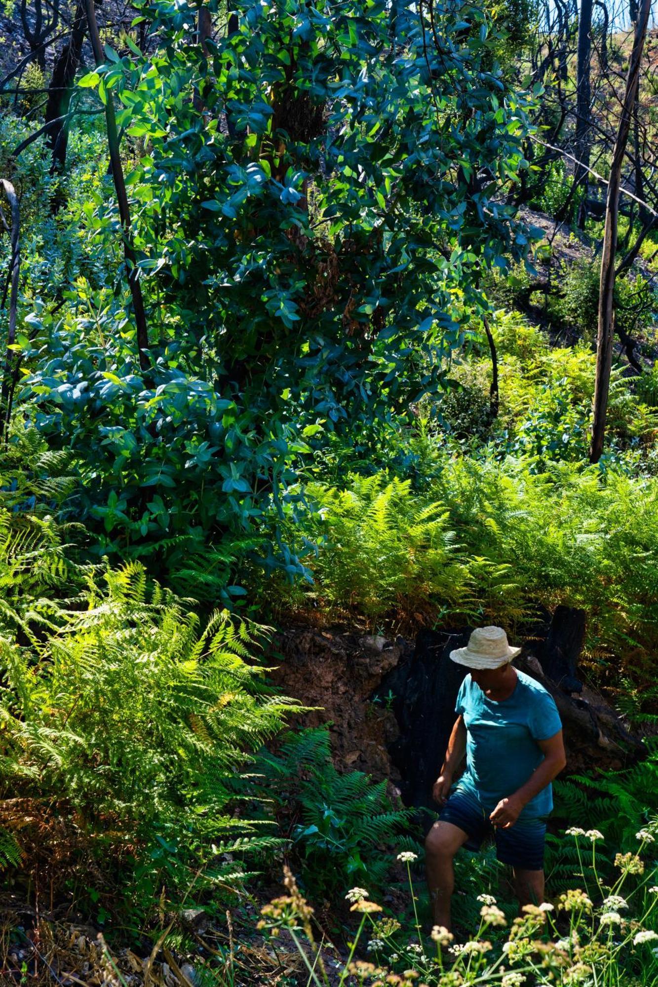 Choeiro Verde - Casa De Campo Na Costa Vicentina Brejao Luaran gambar