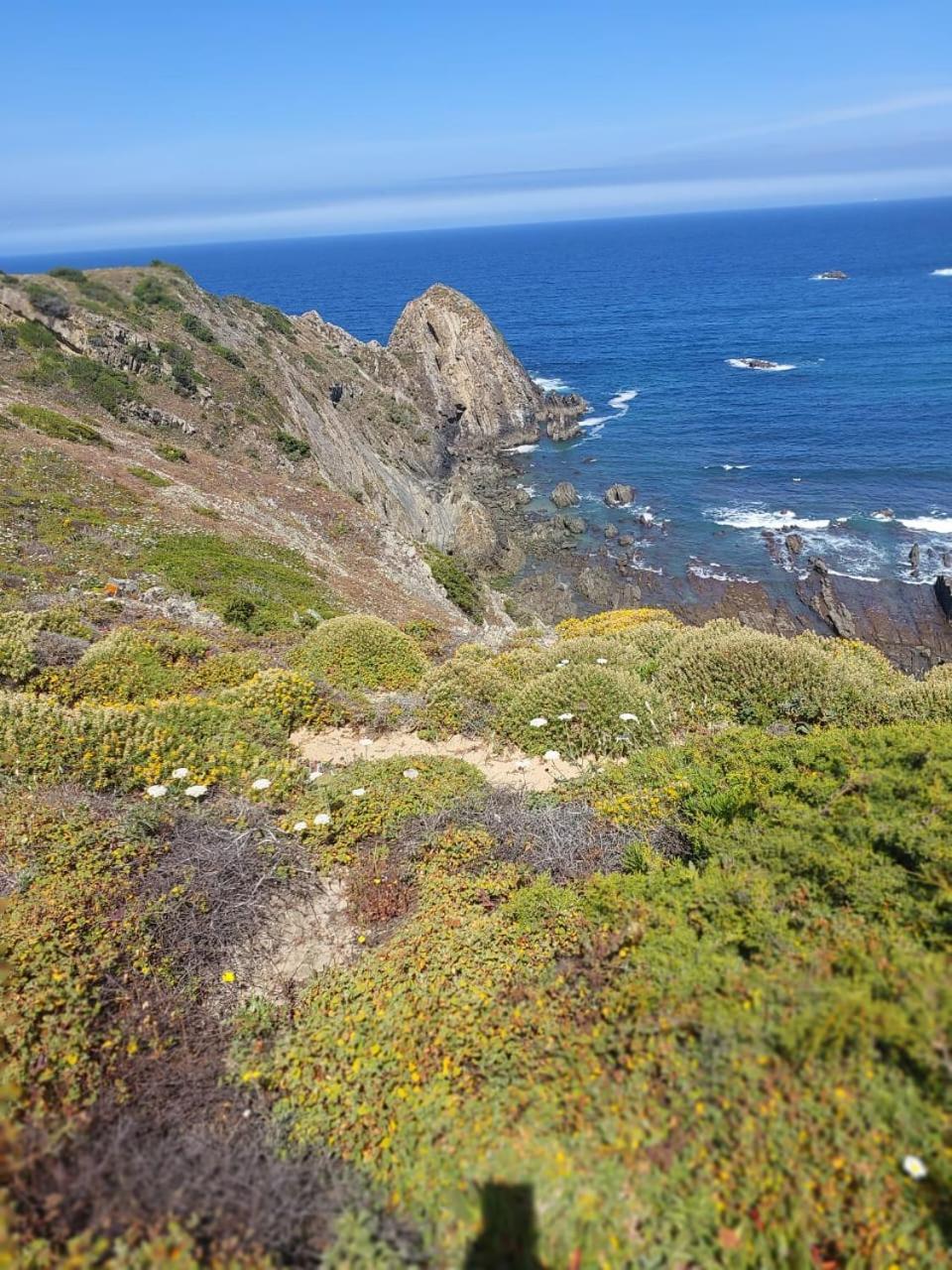 Choeiro Verde - Casa De Campo Na Costa Vicentina Brejao Luaran gambar